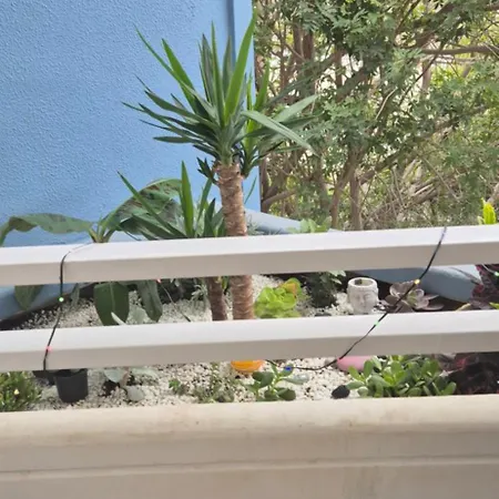 Ocean Flat With View Relax Apartman *