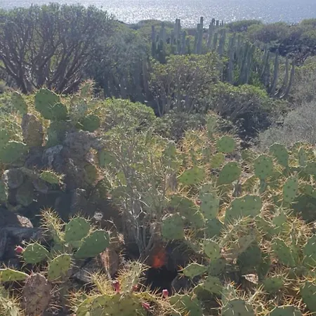 Ocean Flat With View Relax *