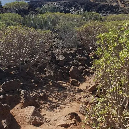 Ocean Flat With View Relax Apartment *