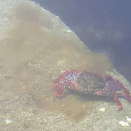 Ocean Flat With View Relax Apartment