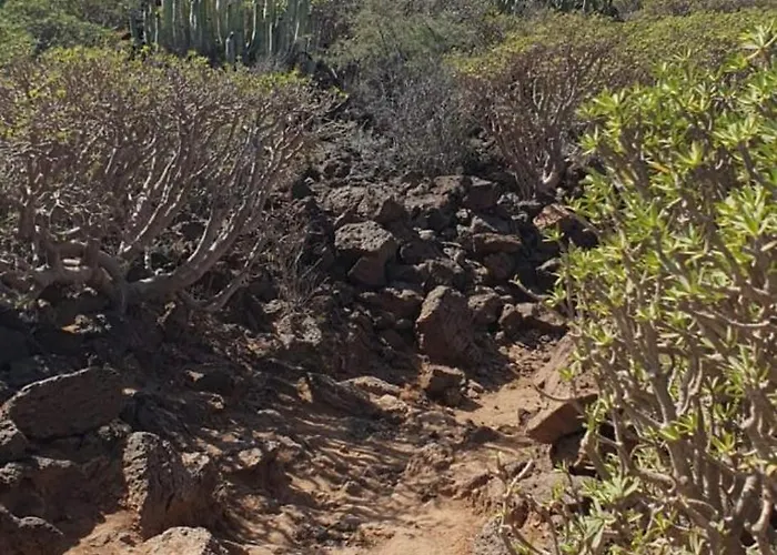 Ocean Flat With View Relax 아파트 *