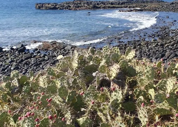Ocean Flat With View Relax